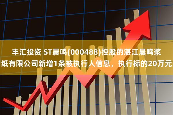 丰汇投资 ST晨鸣(000488)控股的湛江晨鸣浆纸有限公司新增1条被执行人信息，执行标的20万元