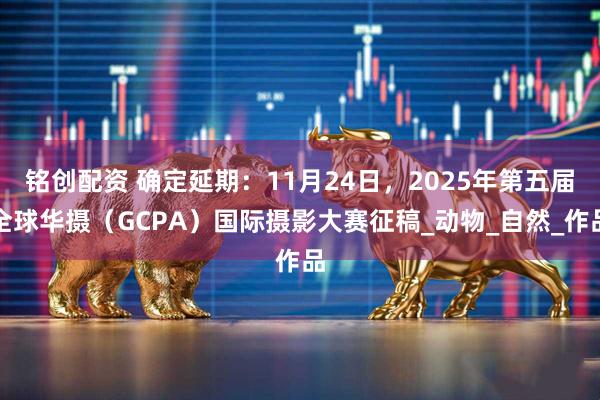 铭创配资 确定延期：11月24日，2025年第五届全球华摄（GCPA）国际摄影大赛征稿_动物_自然_作品