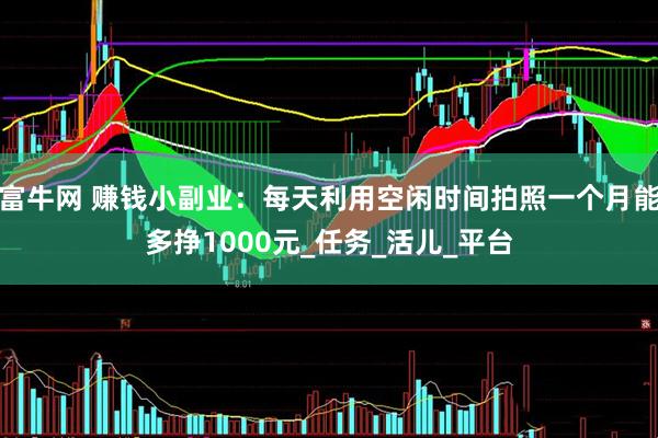 富牛网 赚钱小副业：每天利用空闲时间拍照一个月能多挣1000元_任务_活儿_平台