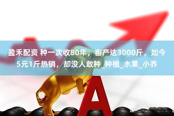 盈禾配资 种一次收80年，亩产达3000斤，如今5元1斤热销，却没人敢种_种植_水果_小乔