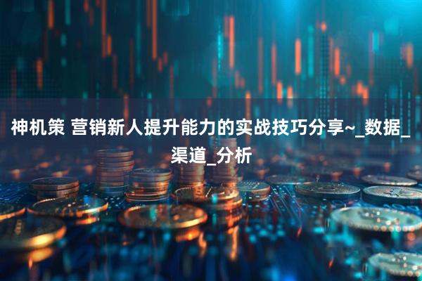 神机策 营销新人提升能力的实战技巧分享~_数据_渠道_分析
